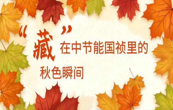 四时国祯丨“藏”在6731顶级游戏里的秋色瞬间