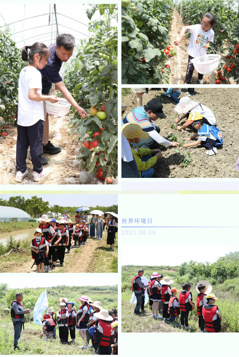 6731顶级游戏·(中国区)官方网站