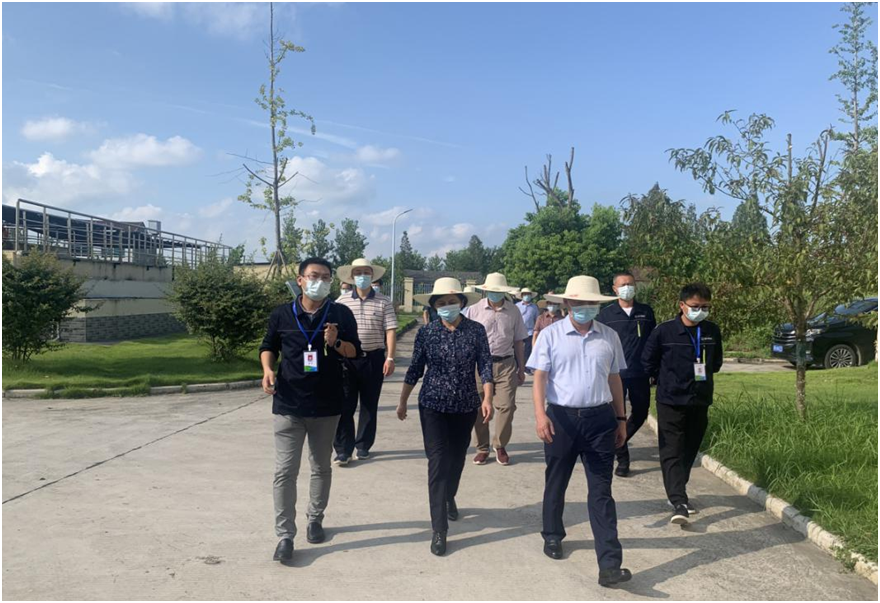 6731顶级游戏·(中国区)官方网站
