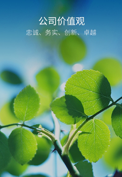 6731顶级游戏·(中国区)官方网站