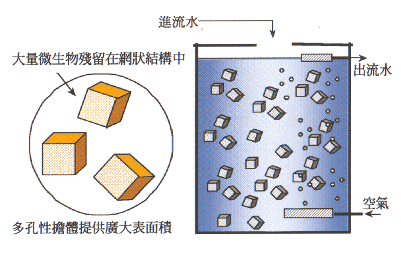 6731顶级游戏·(中国区)官方网站